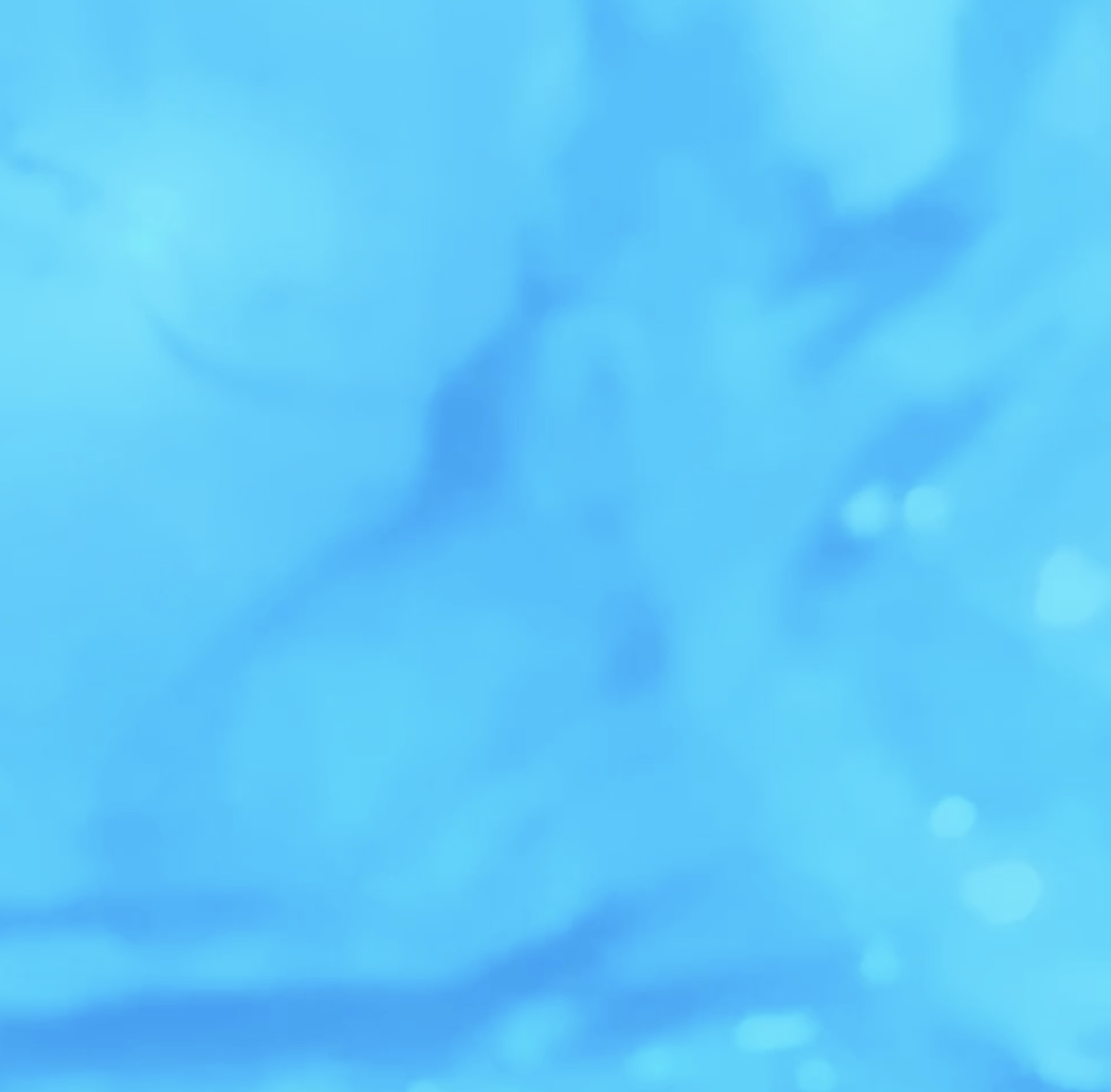 Main Work Image